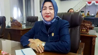 Anggota DPRD Barut apresiasi Ketua TP PKK ke Posyandu Desa Benangin II