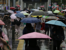 BMKG prakirakan mayoritas kota besar termasuk Kalteng alami hujan ringan-sedang